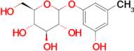 (3R,4S,5S,6R)-2-(3-Hydroxy-5-methylphenoxy)-6-(hydroxymethyl)tetrahydro-2H-pyran-3,4,5-triol