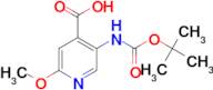 5-((tert-Butoxycarbonyl)amino)-2-methoxyisonicotinic acid