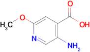 5-Amino-2-methoxyisonicotinic acid
