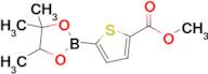 Methyl 5-(4,4,5-trimethyl-[1,3,2]dioxaborolan-2-yl)thiophene-2-carboxylate