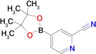 2-Cyanopyridine-4-boronic acid pinacol ester