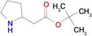 Pyrrolidin-2-yl-acetic acid tert-butyl ester