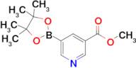 Methyl 5-(4,4,5,5-tetramethyl-1,3,2-dioxaborolan-2-yl)nicotinate