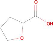 Tetrahydrofuran-2-carboxylic acid
