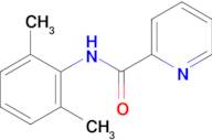 N-(2,6-Dimethylphenyl)picolinamide