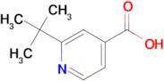 2-(tert-Butyl)isonicotinic acid