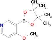 4-Methoxy-3-(4,4,5,5-tetramethyl-1,3,2-dioxaborolan-2-yl)pyridine