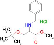 (S)-Methyl 2-(benzylamino)-3-(tert-butoxy)propanoate hydrochloride