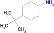 4-(tert-Butyl)cyclohexanamine