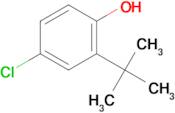 2-(tert-Butyl)-4-chlorophenol