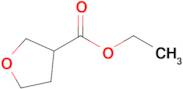 Ethyl tetrahydrofuran-3-carboxylate