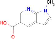 1-Methyl-1H-pyrrolo[2,3-b]pyridine-5-carboxylic acid