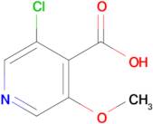 3-Chloro-5-methoxyisonicotinic acid