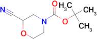 tert-Butyl 2-cyanomorpholine-4-carboxylate