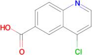 4-Chloroquinoline-6-carboxylic acid