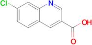 7-Chloroquinoline-3-carboxylic acid