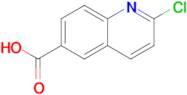 2-Chloroquinoline-6-carboxylic acid