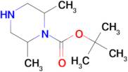 1-Boc-2,6-dimethylpiperazine