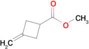 Methyl 3-methylenecyclobutanecarboxylate