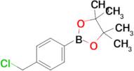 2-(4-(Chloromethyl)phenyl)-4,4,5,5-tetramethyl-1,3,2-dioxaborolane