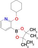 2-(Cyclohexyloxy)-3-(4,4,5,5-tetramethyl-1,3,2-dioxaborolan-2-yl)pyridine