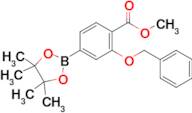 Methyl 2-(benzyloxy)-4-(4,4,5,5-tetramethyl-1,3,2-dioxaborolan-2-yl)benzoate