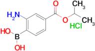 (2-Amino-4-(isopropoxycarbonyl)phenyl)boronic acid hydrochloride