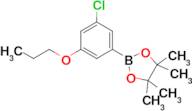 2-(3-Chloro-5-propoxyphenyl)-4,4,5,5-tetramethyl-1,3,2-dioxaborolane