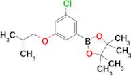 2-(3-Chloro-5-isobutoxyphenyl)-4,4,5,5-tetramethyl-1,3,2-dioxaborolane