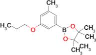 4,4,5,5-Tetramethyl-2-(3-methyl-5-propoxyphenyl)-1,3,2-dioxaborolane