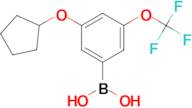 (3-(Cyclopentyloxy)-5-(trifluoromethoxy)phenyl)boronic acid