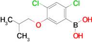 (2,4-Dichloro-5-isobutoxyphenyl)boronic acid