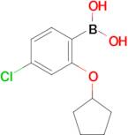 (4-Chloro-2-(cyclopentyloxy)phenyl)boronic acid