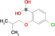 (4-Chloro-2-isobutoxyphenyl)boronic acid