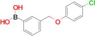 (3-((4-Chlorophenoxy)methyl)phenyl)boronic acid