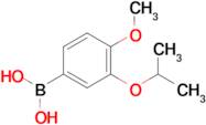 (3-Isopropoxy-4-methoxyphenyl)boronic acid