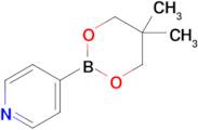 4-(5,5-Dimethyl-1,3,2-dioxaborinan-2-yl)pyridine