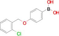 (4-((2-Chlorobenzyl)oxy)phenyl)boronic acid