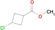 Methyl 3-chlorocyclobutanecarboxylate