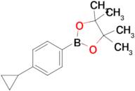 2-(4-Cyclopropylphenyl)-4,4,5,5-tetramethyl-1,3,2-dioxaborolane