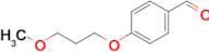 4-(3-Methoxypropoxy)benzaldehyde