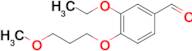 3-Ethoxy-4-(3-methoxypropoxy)benzaldehyde