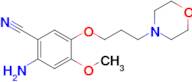 2-Amino-4-methoxy-5-(3-morpholinopropoxy)benzonitrile