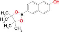 6-(4,4,5,5-Tetramethyl-1,3,2-dioxaborolan-2-yl)naphthalen-2-ol