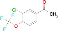 1-(3-Chloro-4-(trifluoromethoxy)phenyl)ethanone