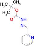 tert-Butyl 2-(pyridin-2-ylmethylene)hydrazinecarboxylate