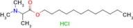 Dodecyl 2-(dimethylamino)propanoate hydrochloride