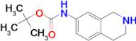 Tert-Butyl 1,2,3,4-tetrahydroisoquinolin-7-ylcarbamate