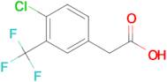 4-Chloro-3-(trifluoromethyl)phenylacetic acid