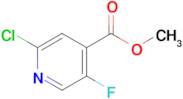 Methyl 2-chloro-5-fluoroisonicotinate